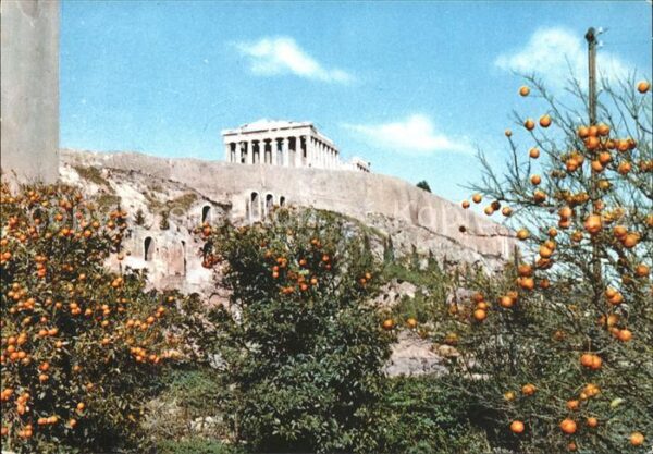 Athenes Athen Akropolis Tempel Ruine Antike Orangenba