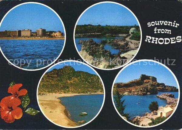 Rhodes Rhodos Greece Strand Hotels Küste Blume