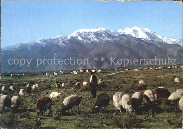Olympos Olymbos Gebirge Hochland Schafherde