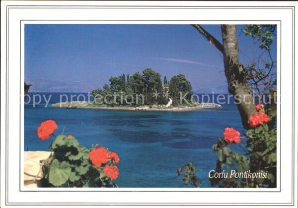 Corfu Korfu Pontikonissi Mäuseinsel Blumen