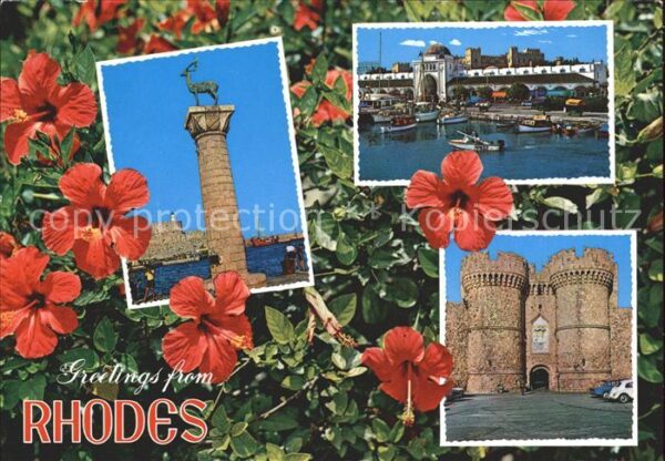Rhodos Rhodes Aegaeis Statue Elafos Hafen Palast Blumen