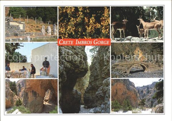 Crete Kreta Imbros Gorge Schlucht Ziegen