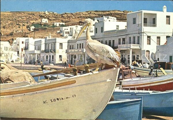 Mykonos Kykladeninsel Aegaeis Hafenpartie Pelikan