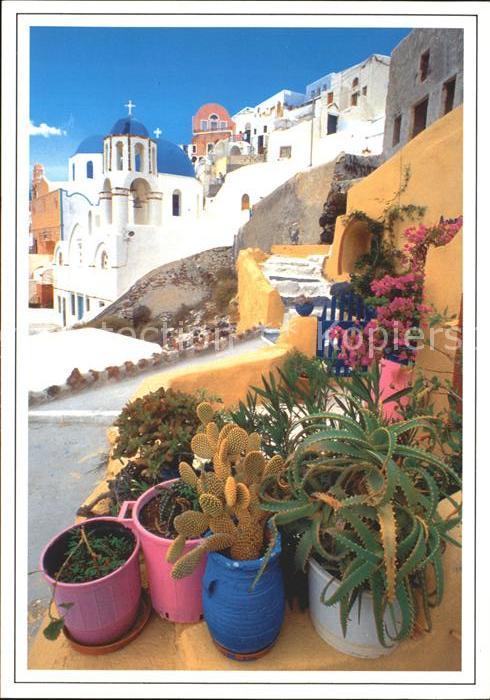 Griechenland Greece Kirche Pflanzen