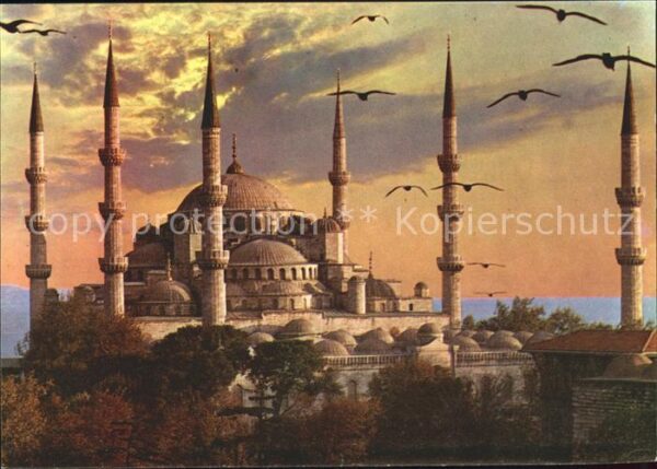 Istanbul Constantinopel Sultanahmet Blaue Moschee Möwe