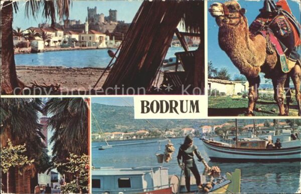 Bodrum Halicarnasus Kamel Segelboot Palmenstra