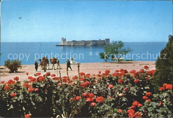 Mersin Kiz Kalesi Maidens Kamel