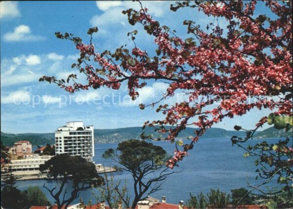 Istanbul Constantinopel v. Tarabya