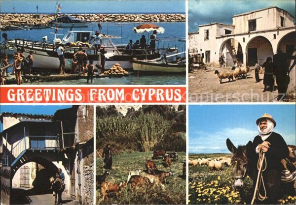 Zypern Cyprus Hafen Esel Schafe Boot