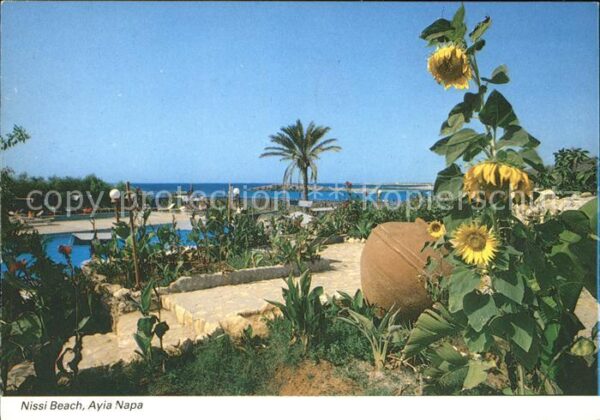 Ayia Napa Agia Napa Nissi Strand Sonnenblume