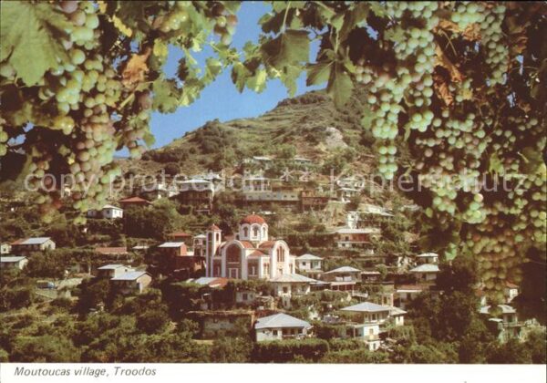 Zypern Cyprus Moutoullas Ferien Bereich