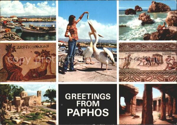 Paphos Pelikan Mosaik Hafen