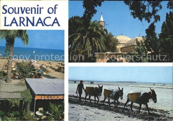 Larnaca Finikoudes Palmen Salzgewinnung