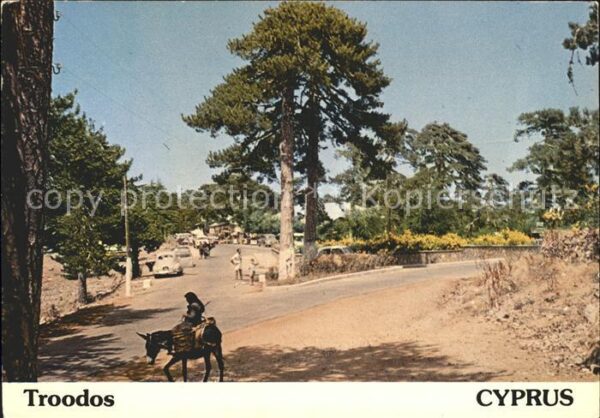 Zypern Cyprus Troodos