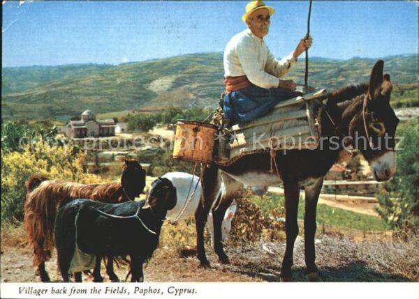 Paphos Villager back from the Fields