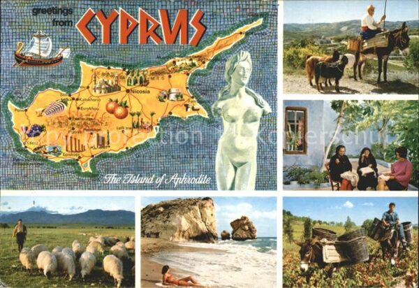 Zypern Cyprus Aphrodite Esel Schafe Strand