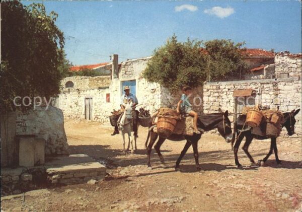 Zypern Cyprus Baurisches Leben