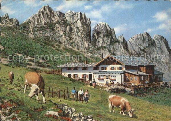 Aschau Chiemgau Steinling-Alm Kampenwand Kühe