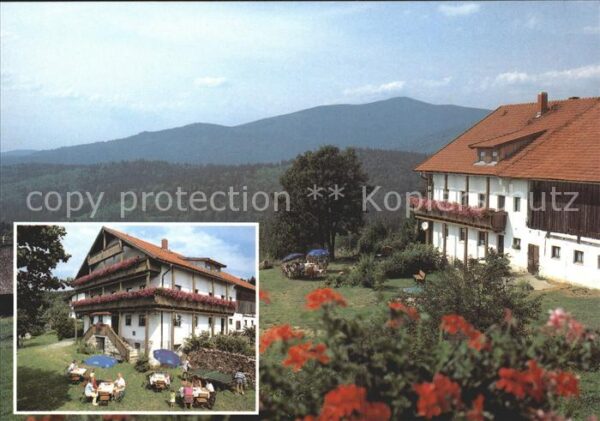 Waldhaeuser Neuschoenau Gasthof-Pension Draxlerhof
