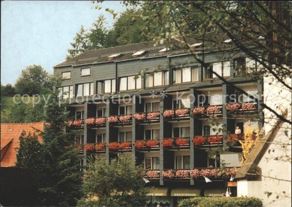 Bad Grund Sanatorium Alter Römer
