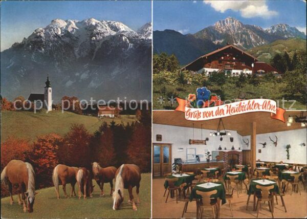 Piding Berggaststätte Neubichler-Alm