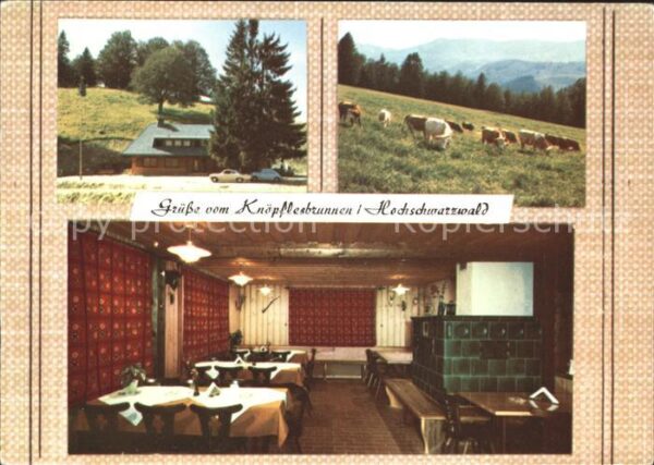 Utzenfeld Schwarzwald Berggasthof Knöpflesbrunnen Viehweide