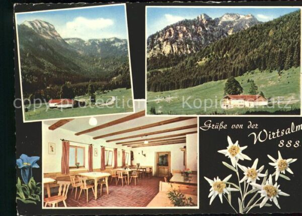 Feilnbach Wirtsalm Details Enzian Edelweiss