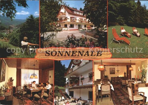 Bad Herrenalb Hotel Pension Sonnenalb Liegewiese Gast