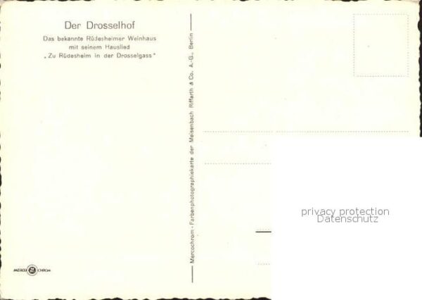 Ruedesheim Rhein Weinhaus Drosselhof Drosselgasse – Bild 2