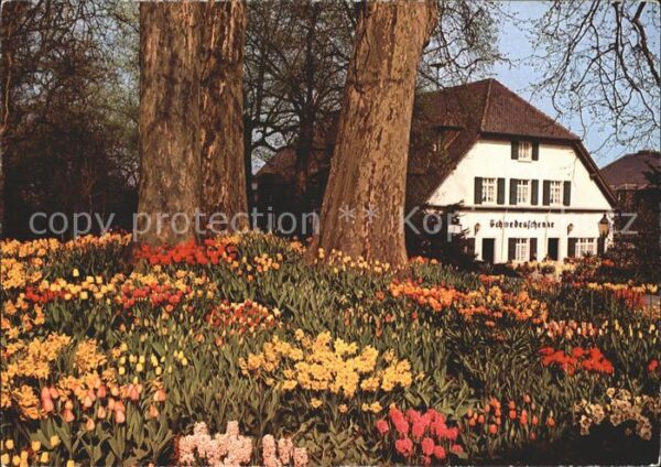 Insel Mainau Schwedenschenke im Frühling