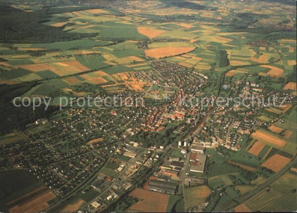 Bad Rappenau Fliegeraufnahme