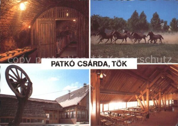 Ungarn Patko Csarda Tök Pferde