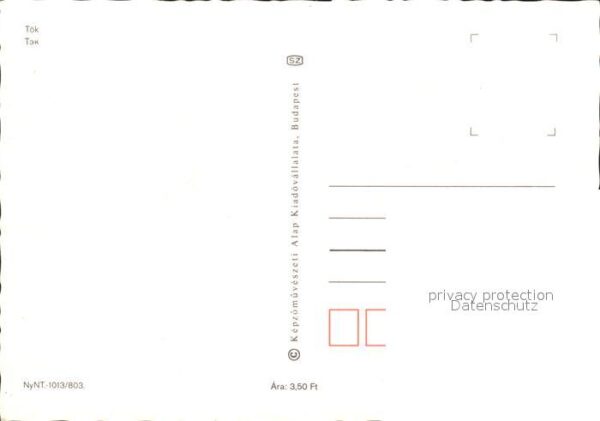 Ungarn Patko Csarda Tök Pferde – Bild 2