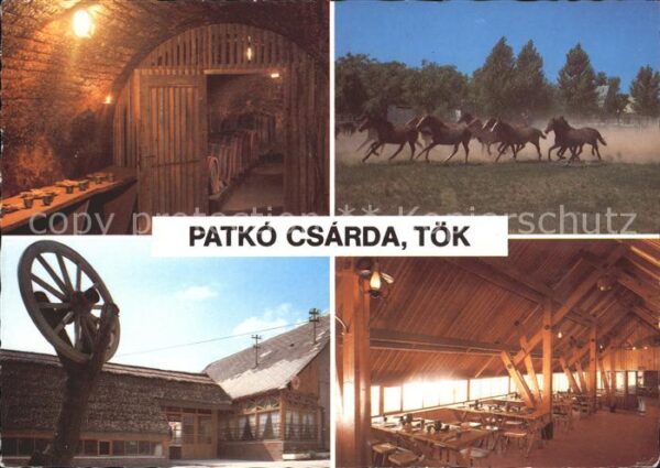 Ungarn Patko Csarda Restaurant Tök Pferde