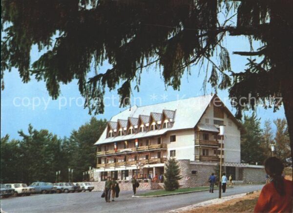 Predeal Hotel Trei Brazi