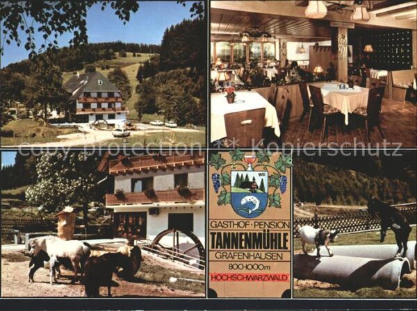 Grafenhausen Schwarzwald Gasthaus Pension Tannenmühle