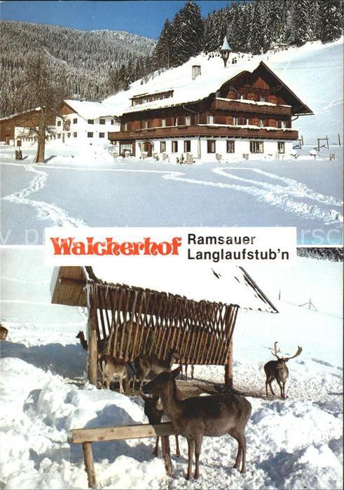Ramsau Dachstein Steiermark Walcherhof Langlaufstubn Wildfütterung