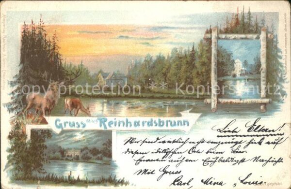 Reinhardsbrunn Landschaftsbilder Hirsch Reh