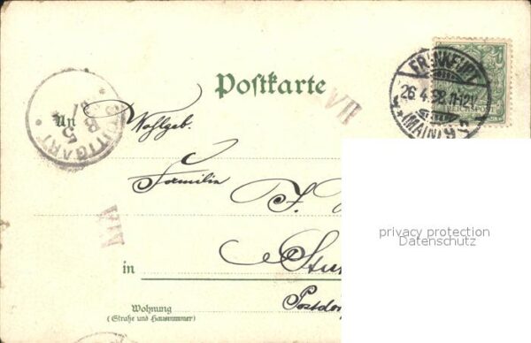 Reinhardsbrunn Landschaftsbilder Hirsch Reh – Bild 2