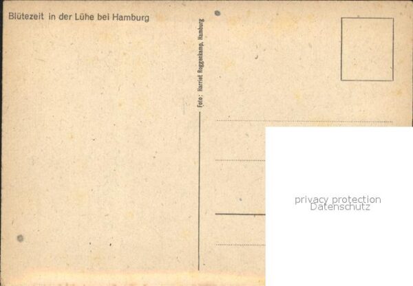 Hamburg Blütezeit in der Lühe – Bild 2