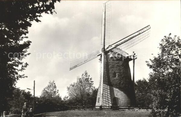 Windmuehle Molen Schoorl