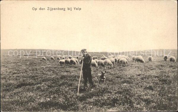 Hirte Kind Hund Schafe Zijpenberg Velp
