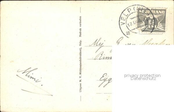 Hirte Schafe Zijpenberg Velp – Bild 2