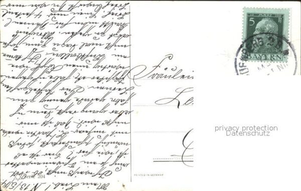 Pferde – Bild 2
