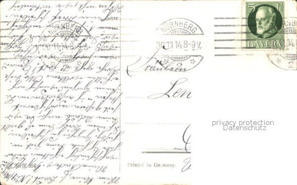 Pferde – Bild 2
