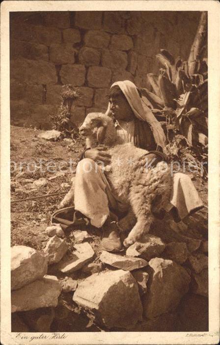 Typen Jerusalem Hirte Schaf