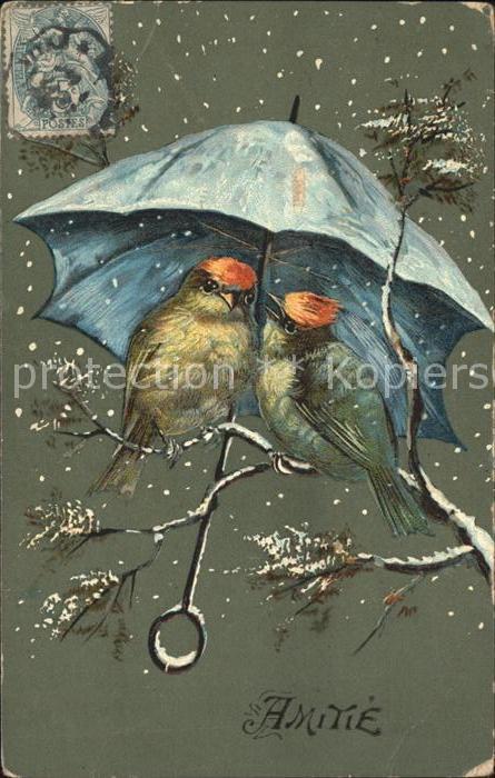 Voegel Regenschirm Schnee Amitie Freundschaft