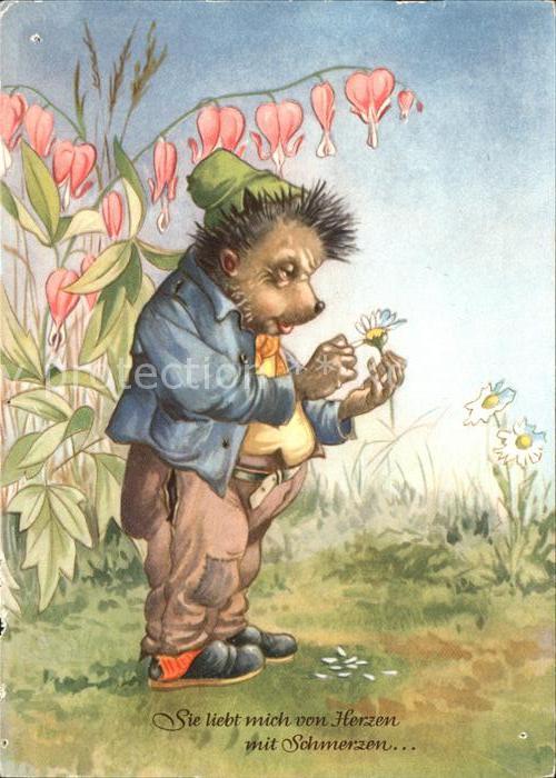 Igel Tiere vermenschlicht Mecky Gänseblümchen Sie