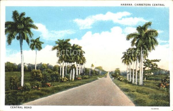 Habana Havana Carretera Central Palmen