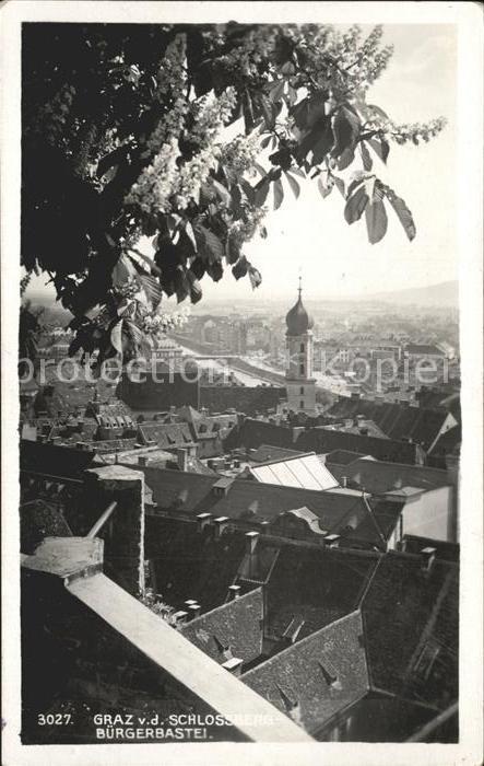 Graz Steiermark Blick vom Schlossberg Bürgerbastei Baum